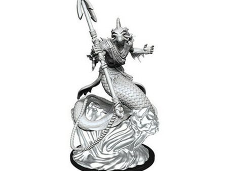 Critical Role Unpainted Miniatures: Merrow Shallowpriest Online now