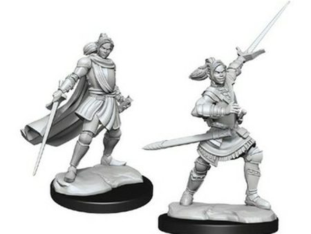 Critical Role Unpainted Miniatures: Half-Elf Paladin Xhorhas Female For Discount