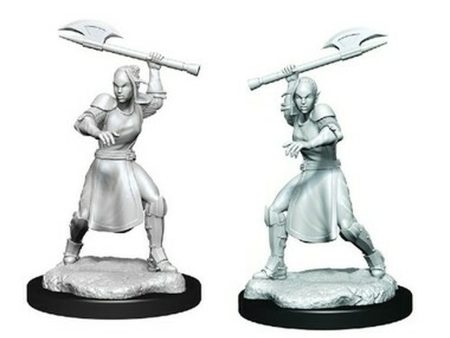 Critical Role Unpainted Miniatures: Half-Elf Echo Knight and Echo Female Online Sale