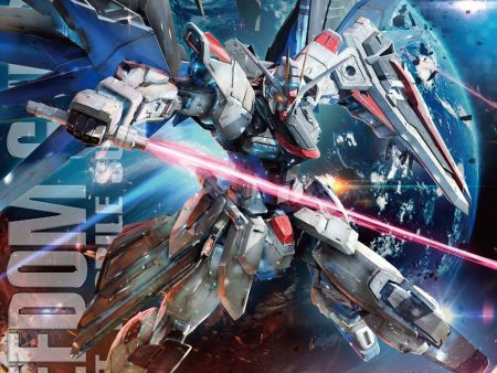 MG 1 100 Freedom Gundam Ver.2.0 Online Sale