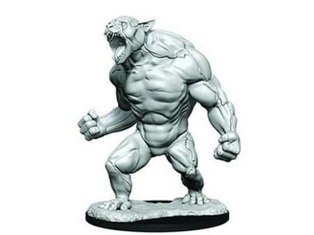 Critical Role Unpainted Miniatures: Aeorian Reverser For Cheap