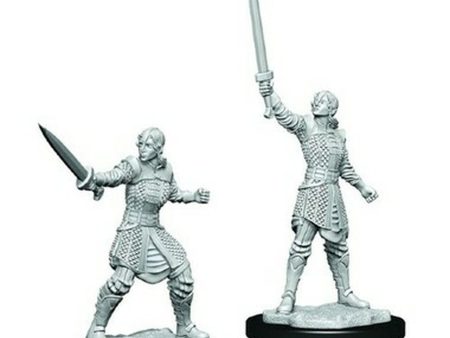 Critical Role Unpainted Miniatures: Human Dwendalian Empire Fighter Female Online Hot Sale